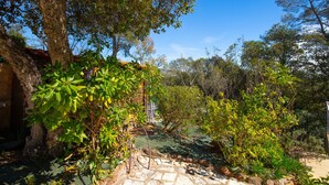 Un jardín con un sendero de piedra, árboles y una cerca.
