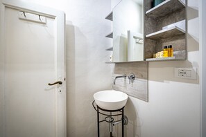 Regadera, secadora de cabello, bidet 