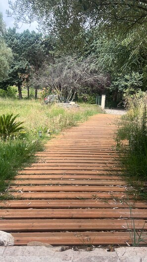 المنطقة المحيطة بالمنشأة