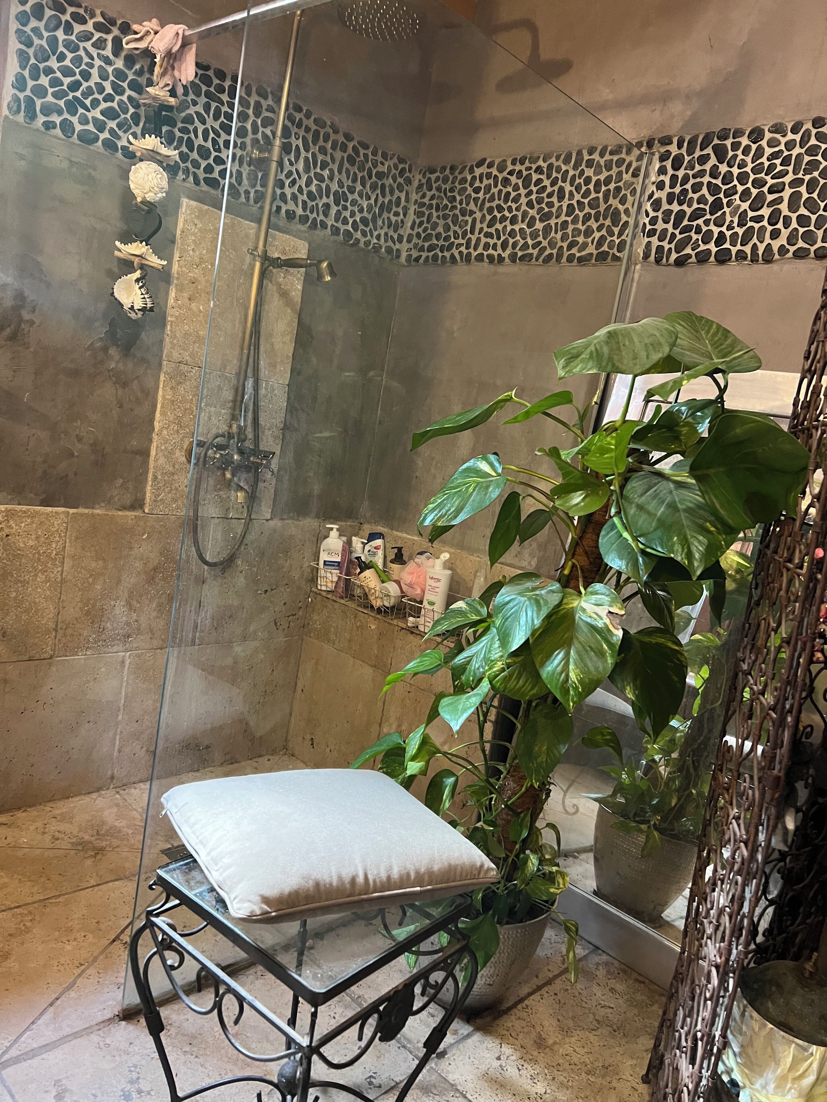 Sèche-cheveux, serviettes fournies, savon, papier toilette