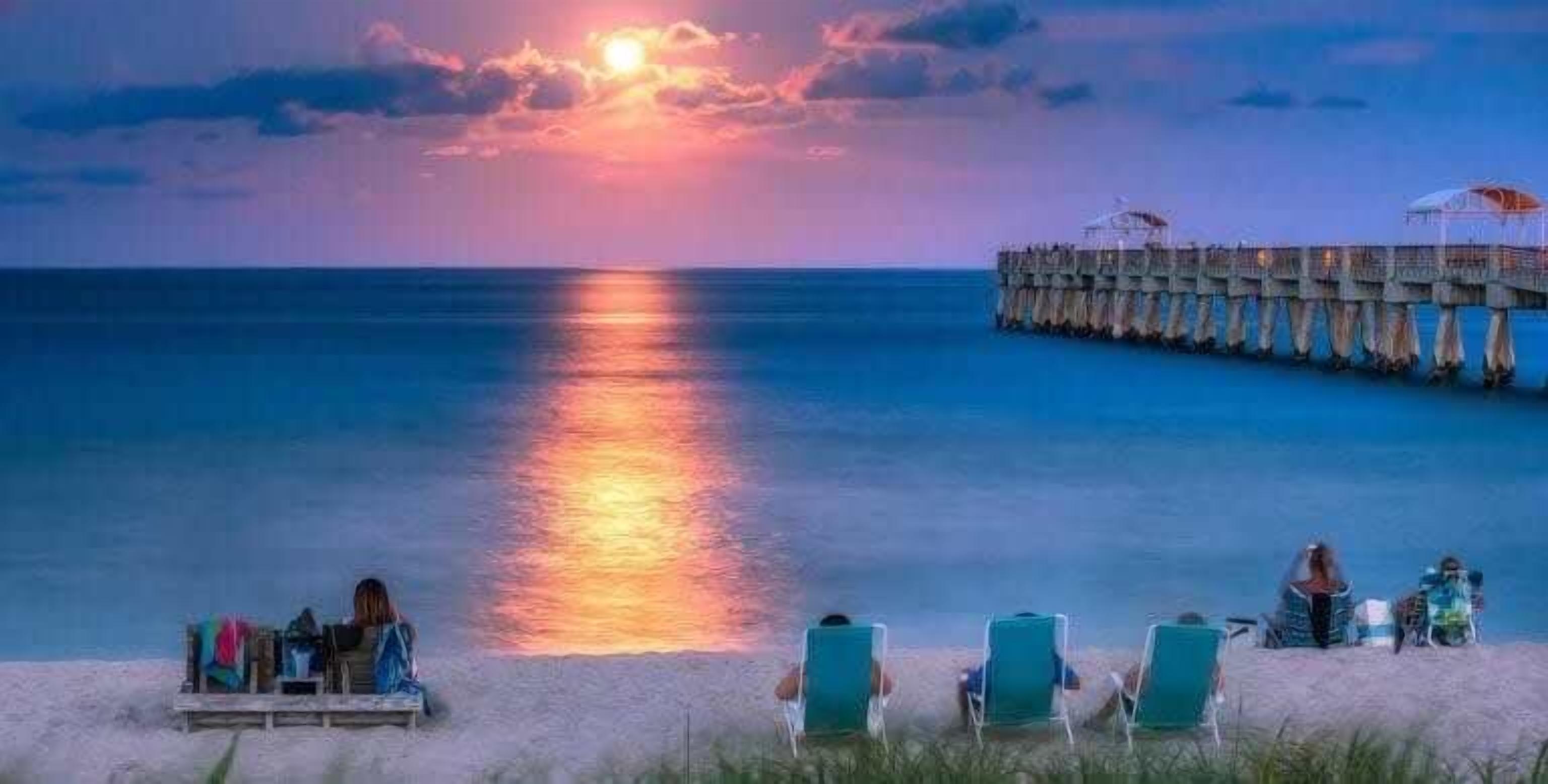 Chaises longues, serviettes de plage