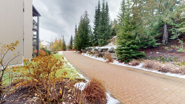 Un chemin pavé bordé d’arbres et d’un bâtiment.