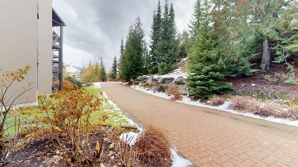 A paved pathway flanked by trees and a building.