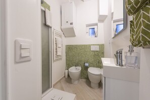 Shower, hair dryer, bidet - Apartments Florence- Divina (Firenze)
