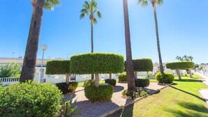 Un jardín bien cuidado con setos ordenados y palmeras.