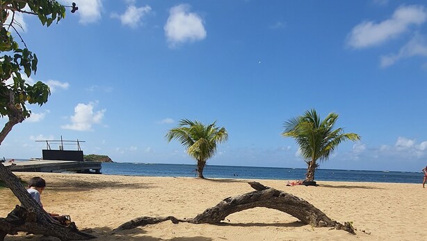 A beach with two palm trees, a wooden structure, and a boat in the background. - Bungalow Style Studio vue Mer, Accès Direct Plage Véhicule de Location Possible (La Trinité)