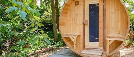 A wooden sauna structure with a door and two benches.