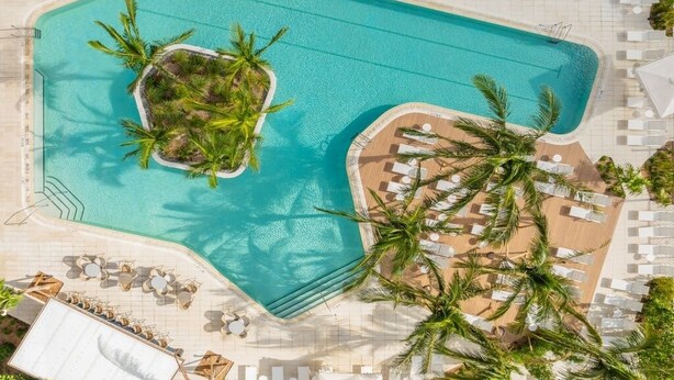 An aerial view of a resort pool with a central island, surrounded by lounge chairs and palm trees.
