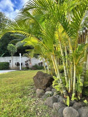 Property grounds - Mo'a Hidden Villa (Bora-Bora)