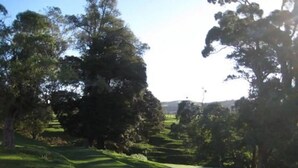 A lush green landscape with trees and a clear sky. - Walnut Whare (Te Whiti)