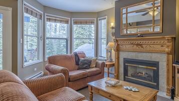 Télévision, cheminée, livres