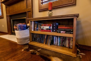 A bookshelf filled with books, a fireplace, and a cat lying on the floor.