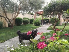 公寓 | 2 多间卧室