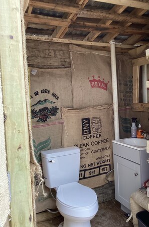 Shower, towels, soap, shampoo