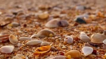 On the beach, sun-loungers, beach umbrellas, beach towels