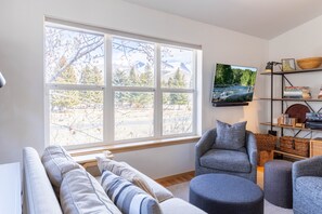 Fernseher, Kamin, Bücher, Arbeitsbereiche