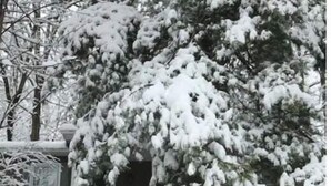 Ein mit Schnee bedeckter Baum vor einem Haus mit weißem Wintergarten.