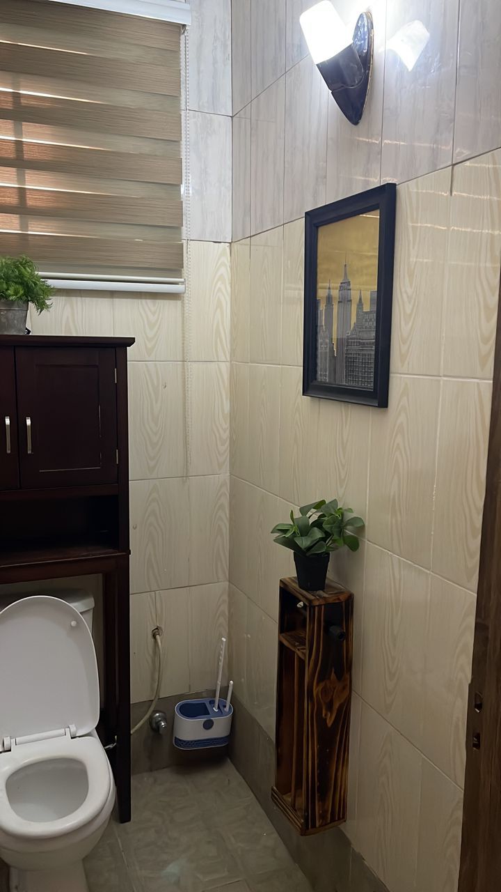 A bathroom with a toilet, a cabinet, a framed picture, and a plant.