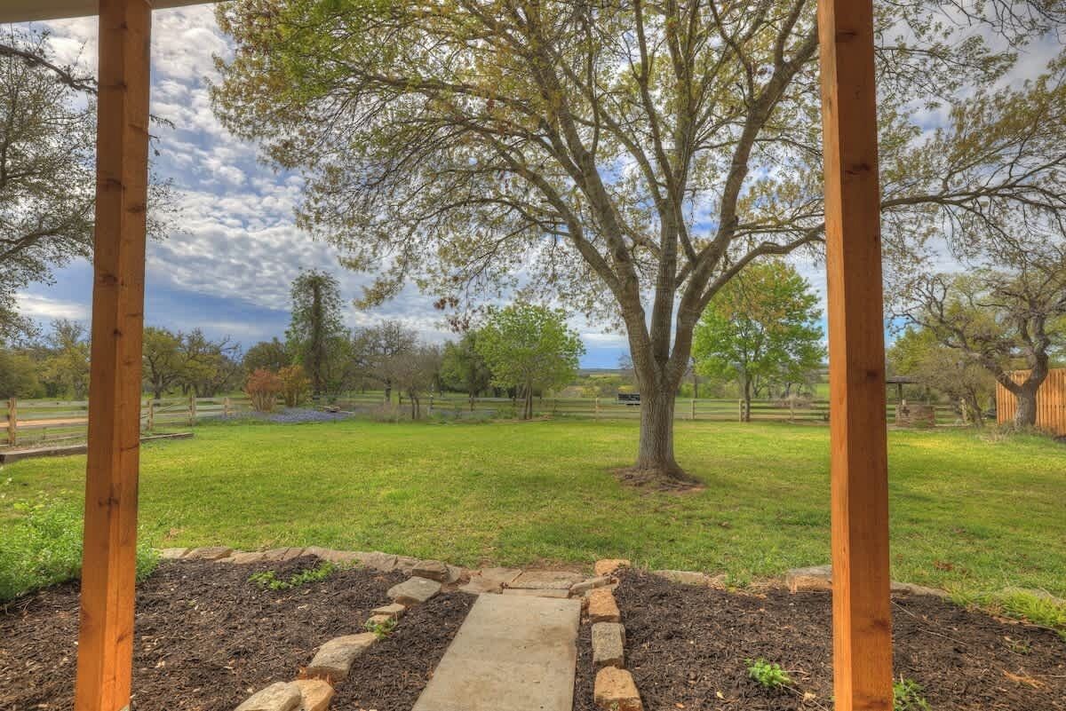 Une structure de pergola en bois avec un chemin en béton menant à une zone herbeuse où se trouve un grand arbre.