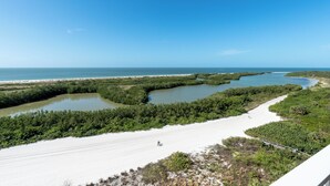 Paesaggio costiero con spiaggia sabbiosa, fitta foresta di mangrovie e cielo azzurro limpido.