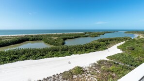 A coastal landscape with a sandy beach, dense mangrove forests, and a clear blue sky.