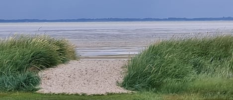 海灘