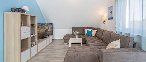 Télévision, lecteur de DVD, table de tennis de table, chaîne hi-fi