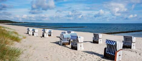 Une plage bordée de rangées de chaises longues et de parasols, dont certains sont numérotés.
