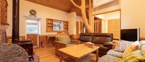 Televisor i llar de foc