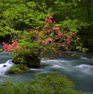 Property grounds - SmokingSingle B Free breakfast plan Welcome to / Towada Aomori (Towada)