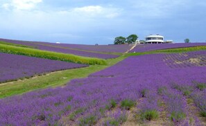 Miscellaneous - Nonsmoking Spacious twin room for 1 person Roo / Sorachi-gun Hokkaidō (Sorachi-gun)