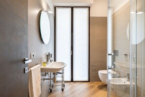 淋浴设施、吹风机、坐浴桶、毛巾