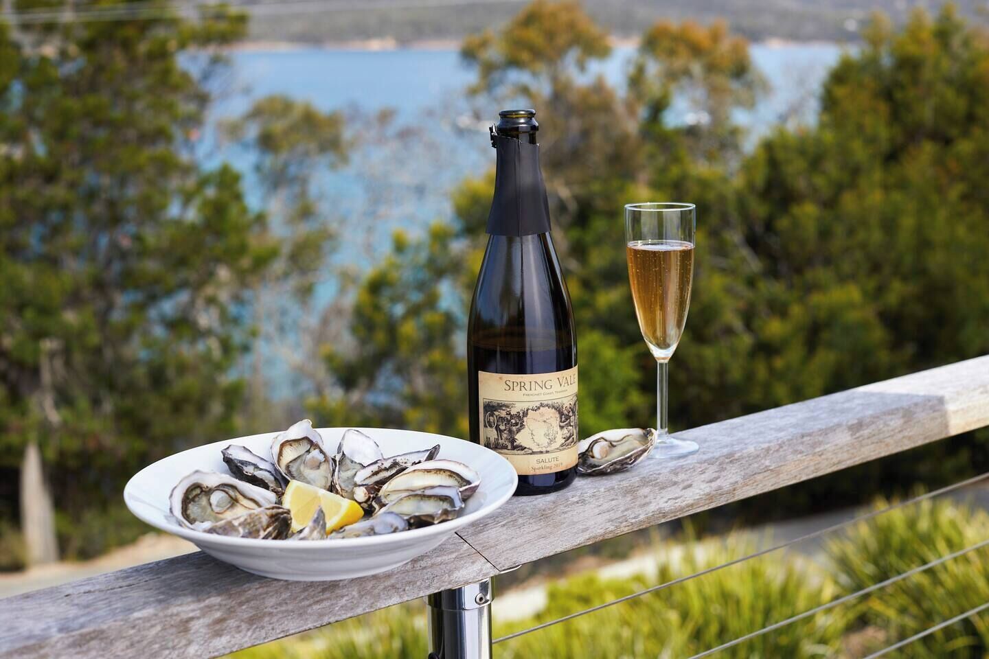 A bottle of wine, a glass of wine, and a plate of oysters on a wooden railing with a scenic view in the background.