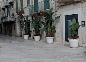 Entrada de la propiedad