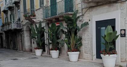 Locus Pendinelli Trani 53-the Philosophy of a B&b, the Details of a Hotel!!!