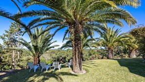 Un área con césped, palmeras y sillas blancas.