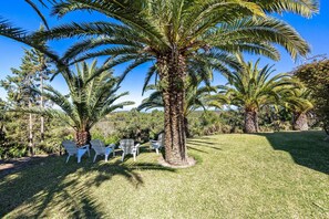 Property grounds - Country House 'A House with A View' with Sea View, Wi-Fi and Air Conditioning (Aljezur)