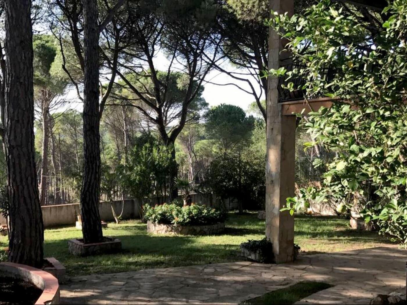 Área da propriedade