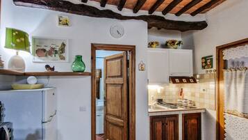 Fridge, stovetop, cookware/dishes/utensils