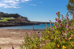 Una spiaggia nelle vicinanze