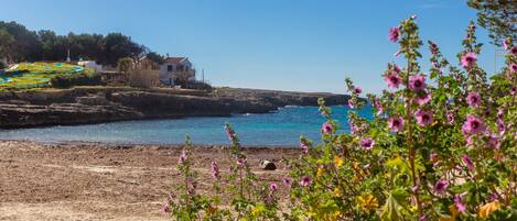 Una spiaggia nelle vicinanze