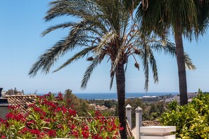 Vista sulla costa con palme e fiori rossi, cielo sereno e città in lontananza.