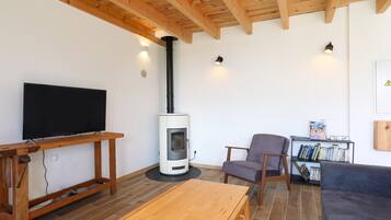 A living room with a TV, a wood-burning stove, a bookshelf, and a sofa.