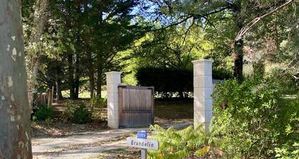 Secluded Forest Tiny House with Views