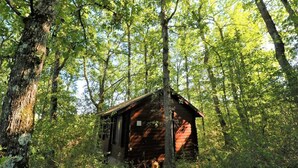 A rustic cabin surrounded by dense forest. - Secluded Forest Tiny House with Views (Meilhan)