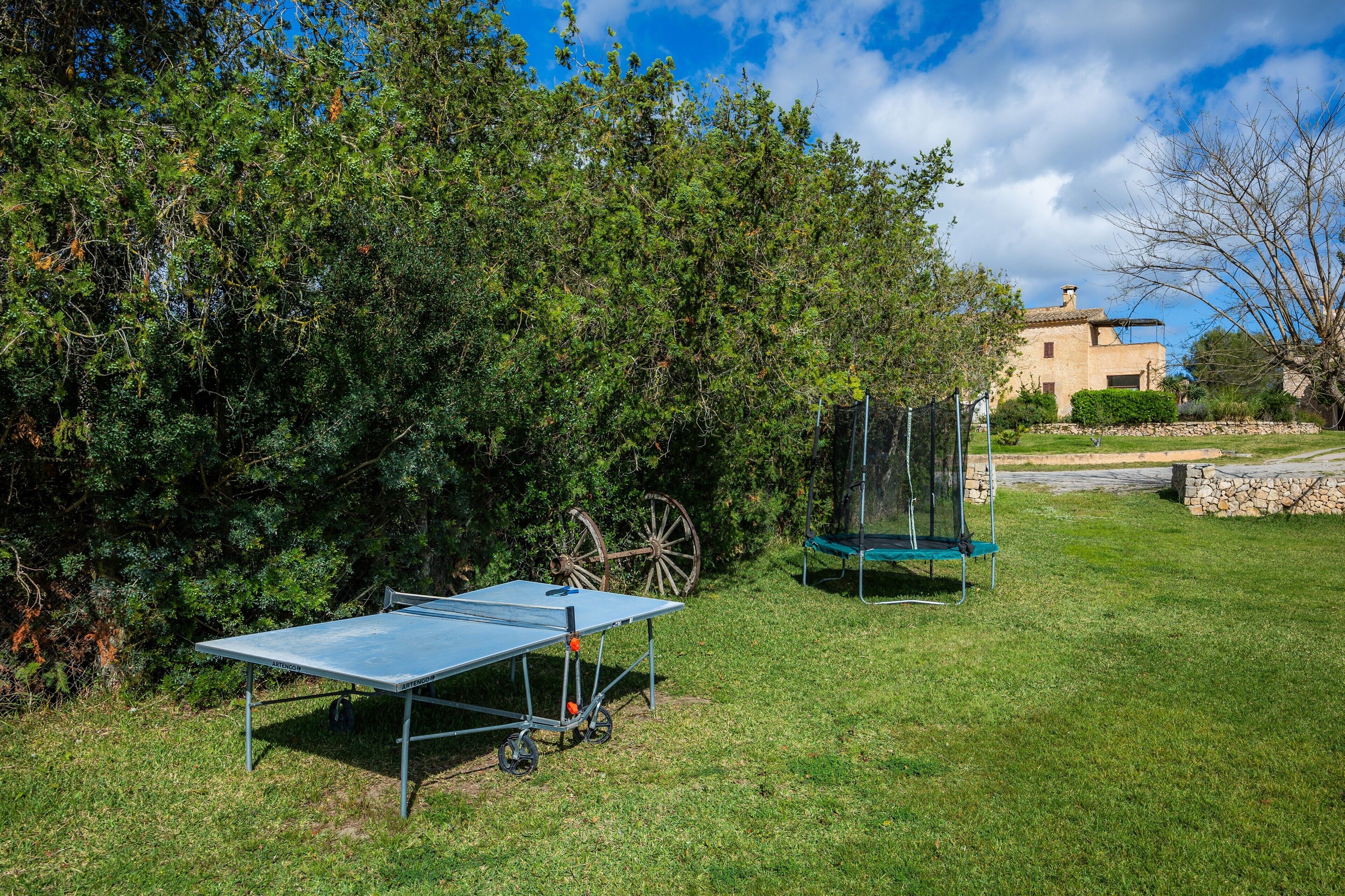 A ping pong table, a trampoline, and a stone wall in a grassy area with trees and a building in the background.