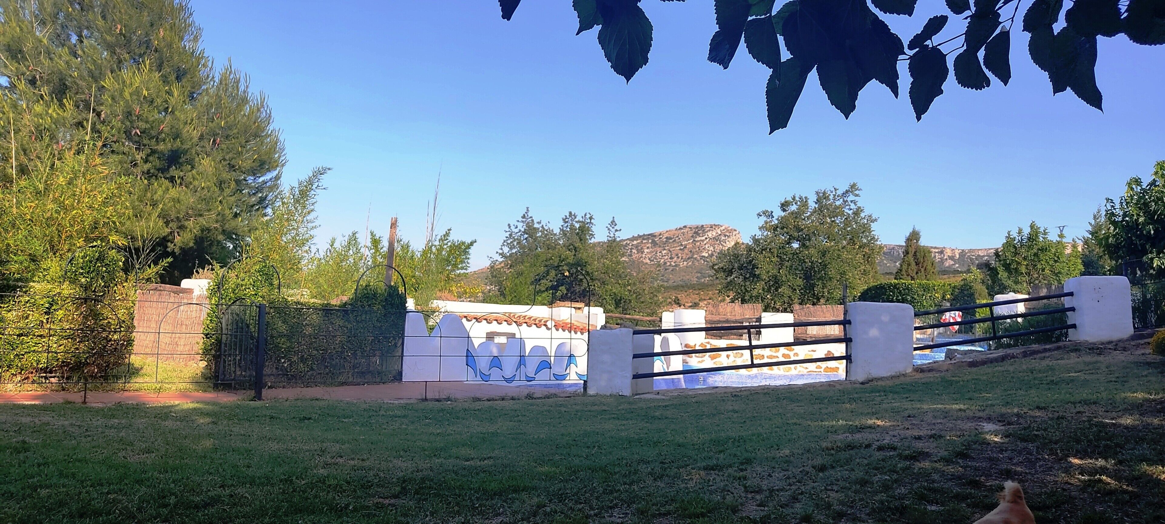 A fenced property with a gate, trees, and a mountain in the background.