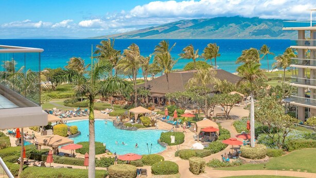 A resort with a swimming pool, palm trees, and a view of the ocean.