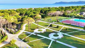 Sport court
