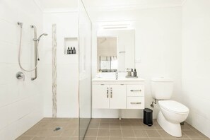 Ducha, secador de pelo y champú